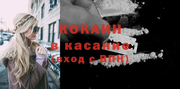 ешки Мегион