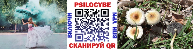 где купить наркотик  даркнет официальный сайт  Галлюциногенные грибы мухоморы  Пошехонье 
